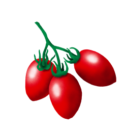 tomato 1